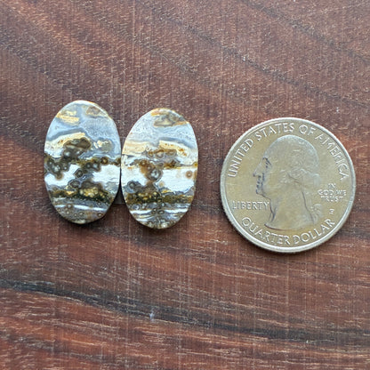 Ocean Jasper - Cabochon Pair - Oval - Teardrop - Rectangle