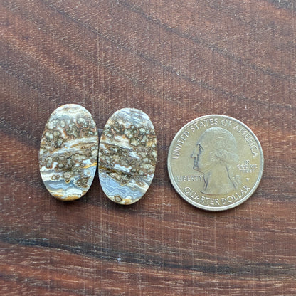 Ocean Jasper - Cabochon Pair - Oval - Teardrop - Rectangle