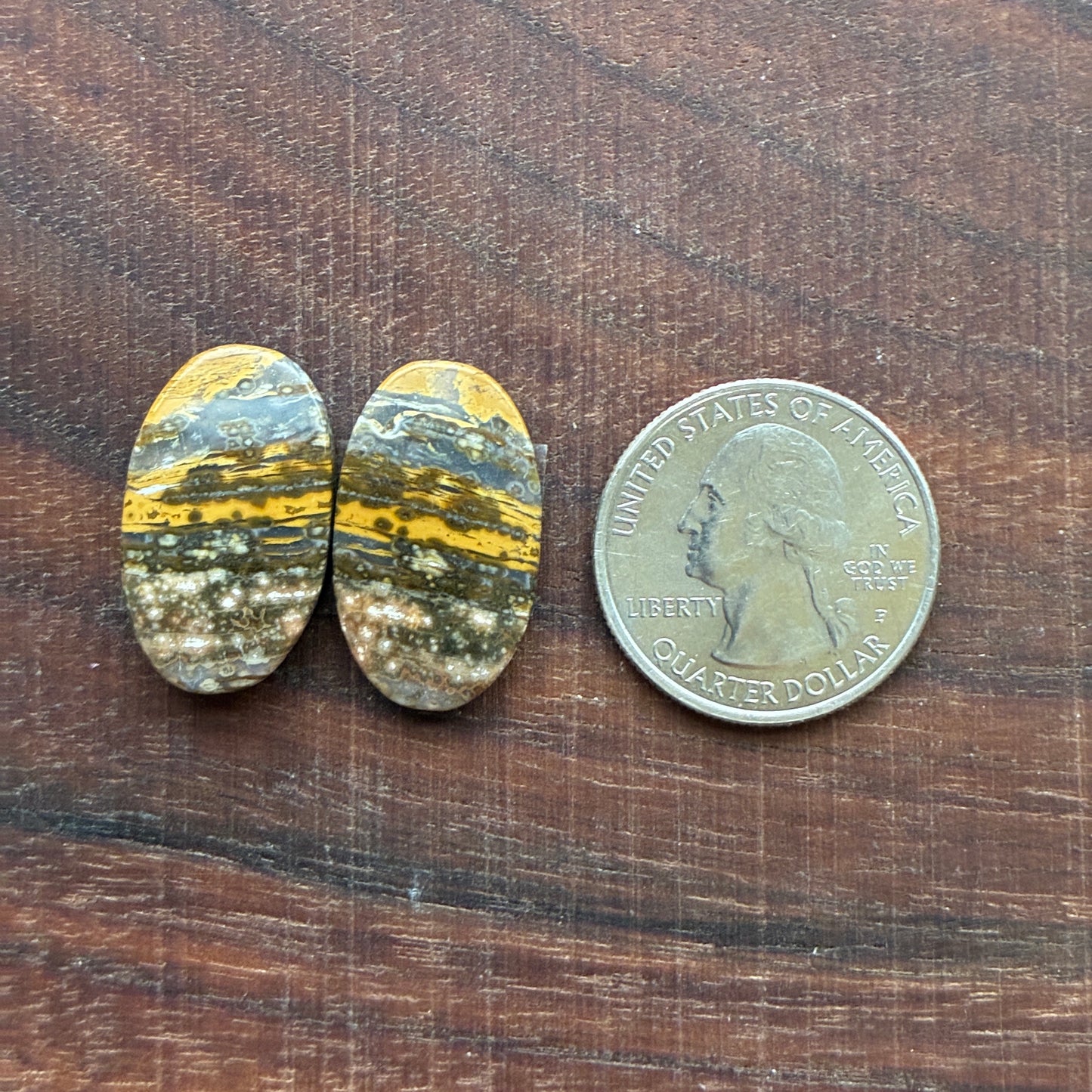 Ocean Jasper - Cabochon Pair - Oval - Teardrop - Rectangle