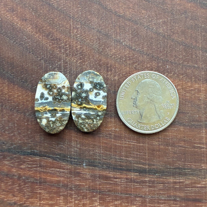 Ocean Jasper - Cabochon Pair - Oval - Teardrop - Rectangle