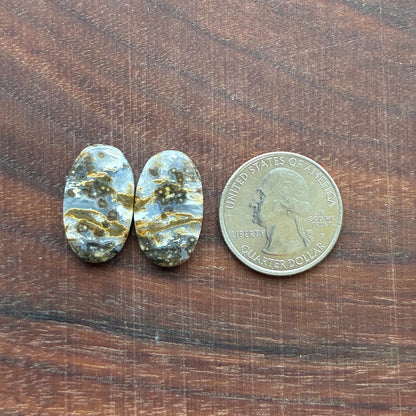 Ocean Jasper - Cabochon Pair - Oval - Teardrop - Rectangle