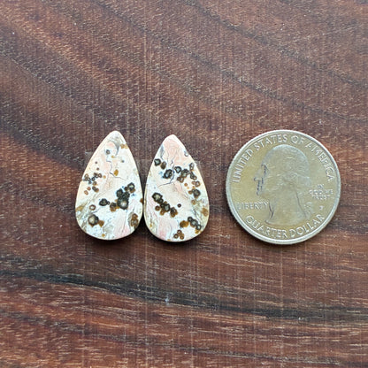Ocean Jasper - Cabochon Pair - Oval - Teardrop - Rectangle