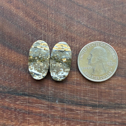 Ocean Jasper - Cabochon Pair - Oval - Teardrop - Rectangle
