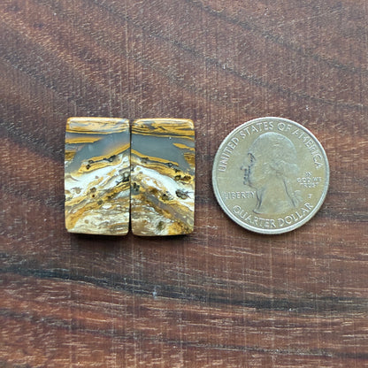Ocean Jasper - Cabochon Pair - Oval - Teardrop - Rectangle