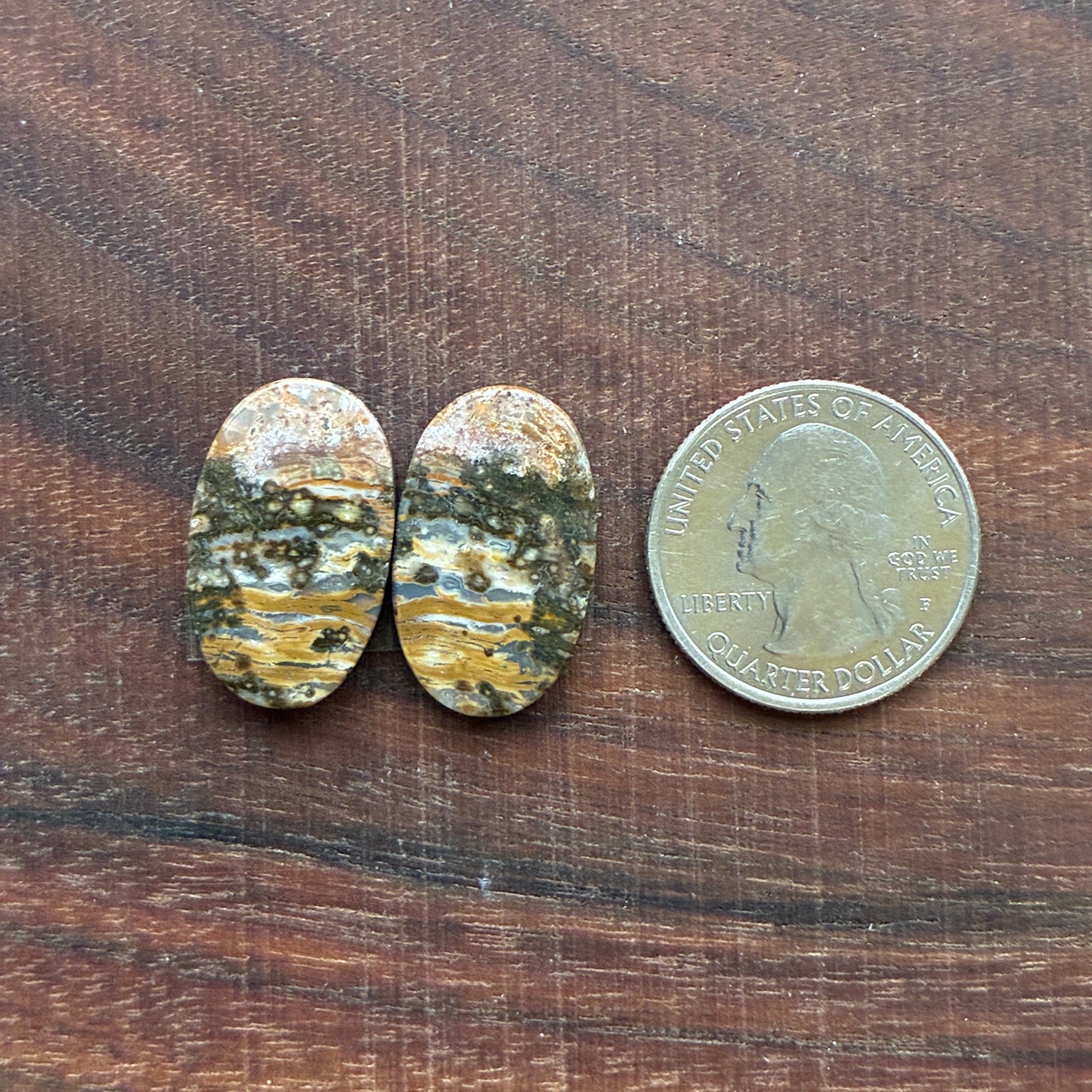 Ocean Jasper - Cabochon Pair - Oval - Teardrop - Rectangle