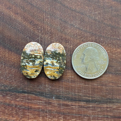 Ocean Jasper - Cabochon Pair - Oval - Teardrop - Rectangle