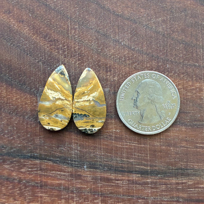 Ocean Jasper - Cabochon Pair - Oval - Teardrop - Rectangle