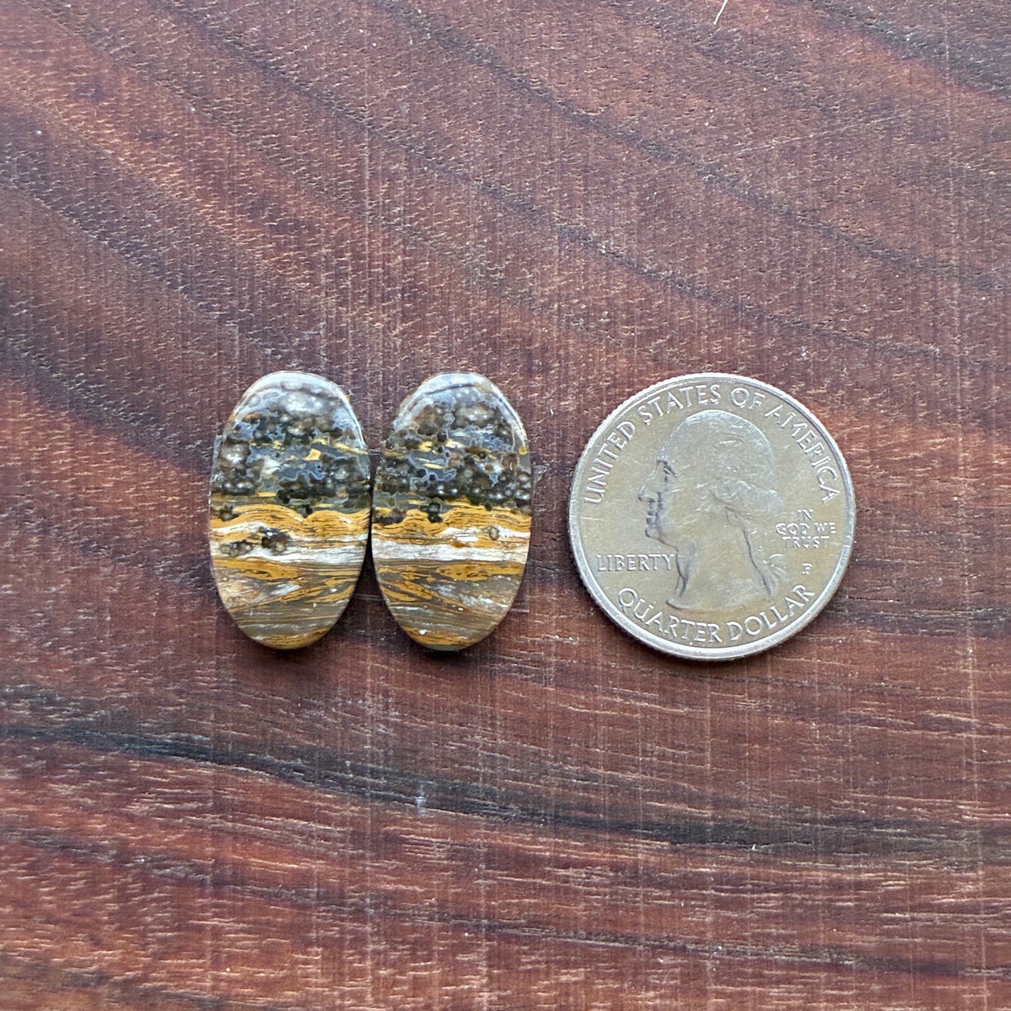 Ocean Jasper - Cabochon Pair - Oval - Teardrop - Rectangle