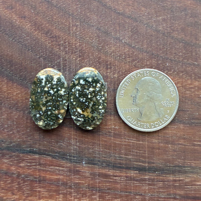 Ocean Jasper - Cabochon Pair - Oval - Teardrop - Rectangle