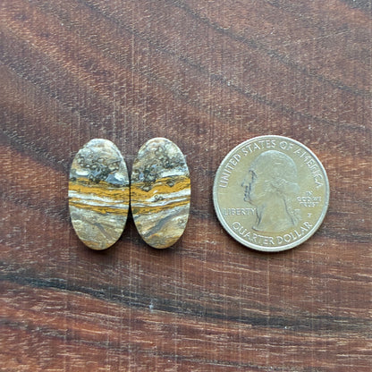 Ocean Jasper - Cabochon Pair - Oval - Teardrop - Rectangle