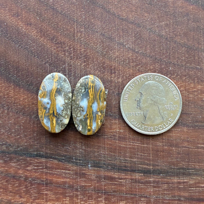 Ocean Jasper - Cabochon Pair - Oval - Teardrop - Rectangle
