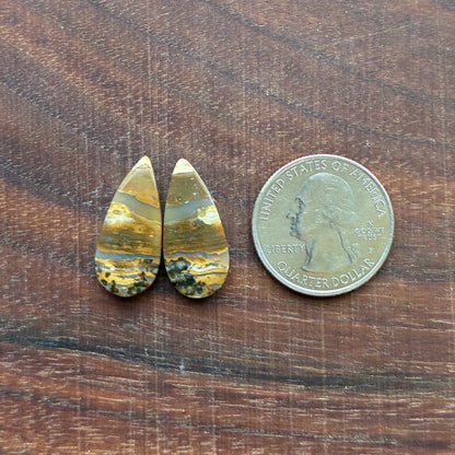 Ocean Jasper - Cabochon Pair - Oval - Teardrop - Rectangle