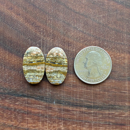 Ocean Jasper - Cabochon Pair - Oval - Teardrop - Rectangle