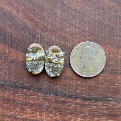 Ocean Jasper - Cabochon Pair - Oval - Teardrop - Rectangle