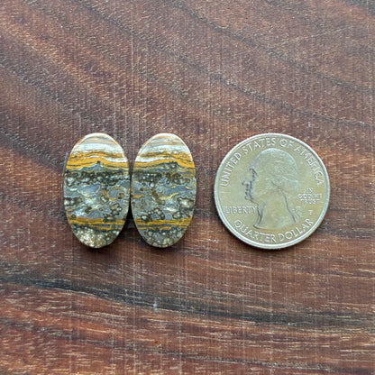 Ocean Jasper - Cabochon Pair - Oval - Teardrop - Rectangle
