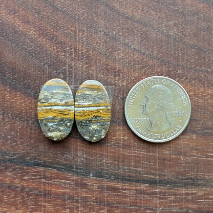 Ocean Jasper - Cabochon Pair - Oval - Teardrop - Rectangle