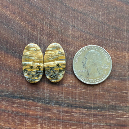 Ocean Jasper - Cabochon Pair - Oval - Teardrop - Rectangle