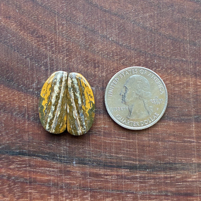 Ocean Jasper - Cabochon Pair - Oval - Teardrop - Rectangle