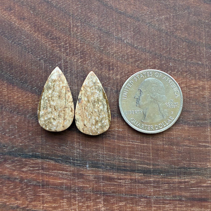 Ocean Jasper - Cabochon Pair - Oval - Teardrop - Rectangle