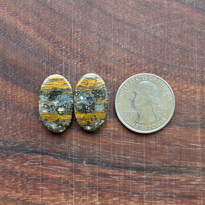 Ocean Jasper - Cabochon Pair - Oval - Teardrop - Rectangle