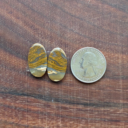 Ocean Jasper - Cabochon Pair - Oval - Teardrop - Rectangle