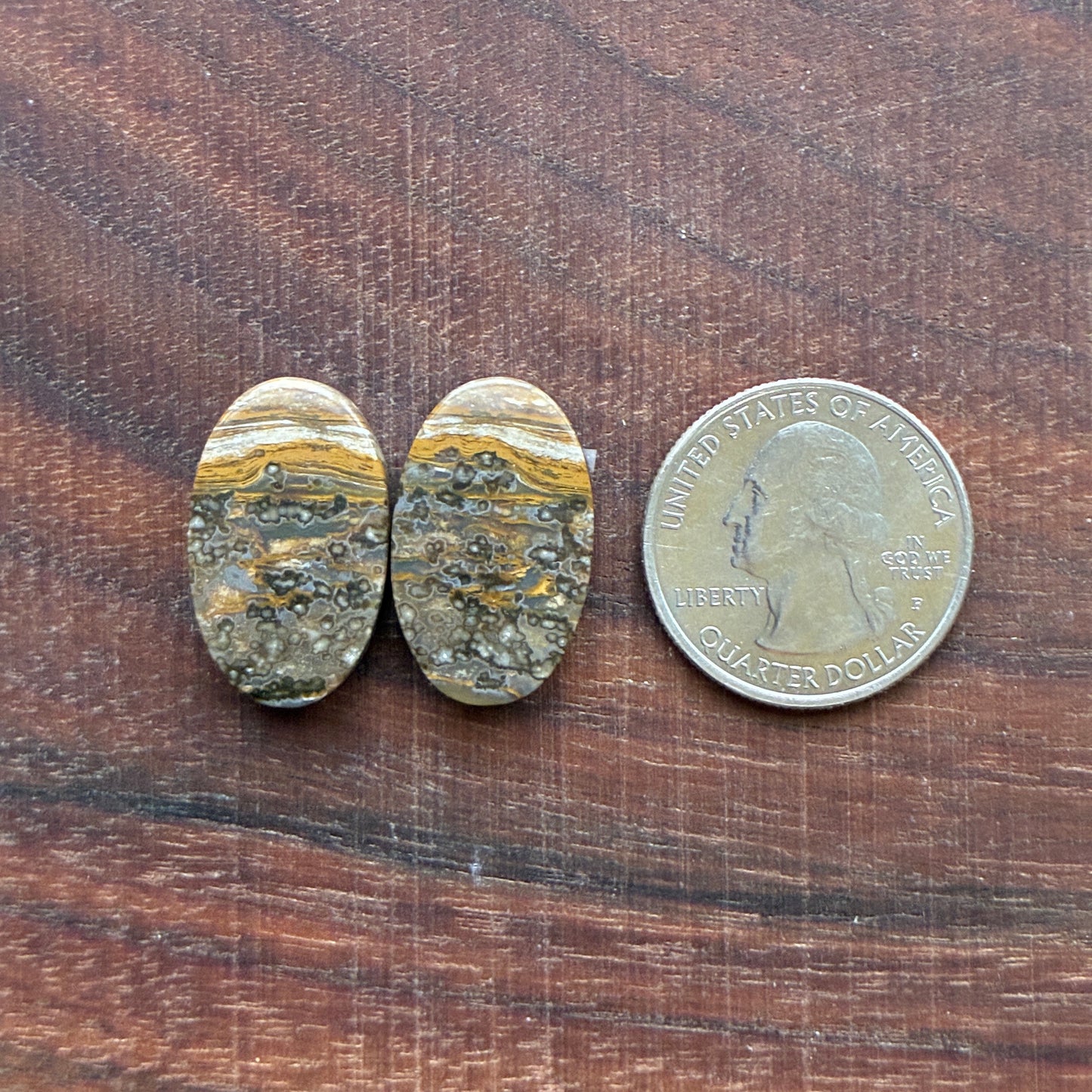 Ocean Jasper - Cabochon Pair - Oval - Teardrop - Rectangle