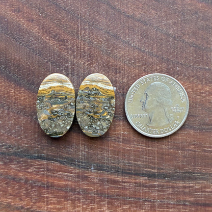 Ocean Jasper - Cabochon Pair - Oval - Teardrop - Rectangle