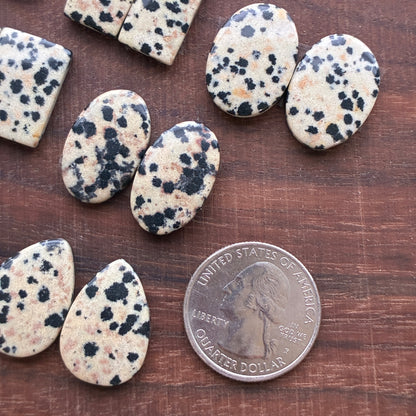 Dalmatian - Cabochon Pair - Oval - Rectangle - Teardrop