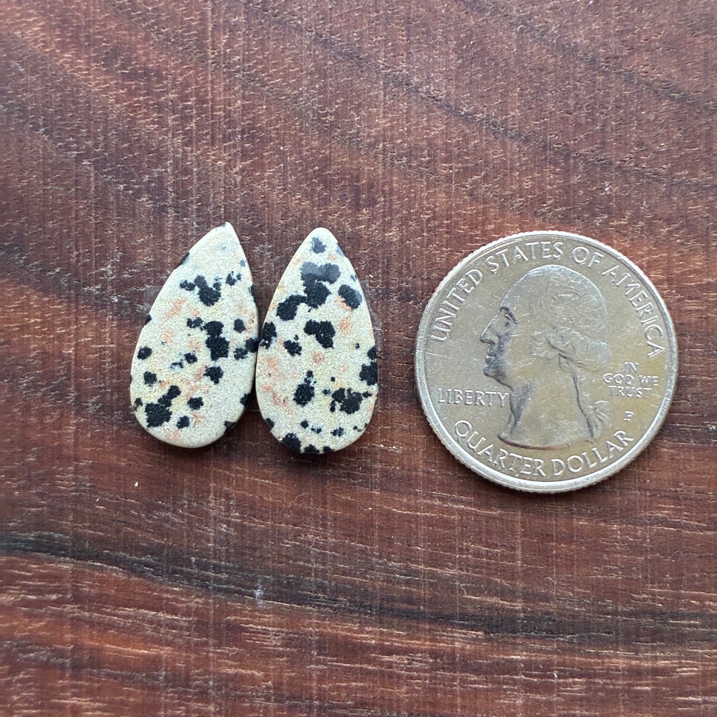 Dalmatian - Cabochon Pair - Oval - Rectangle - Teardrop