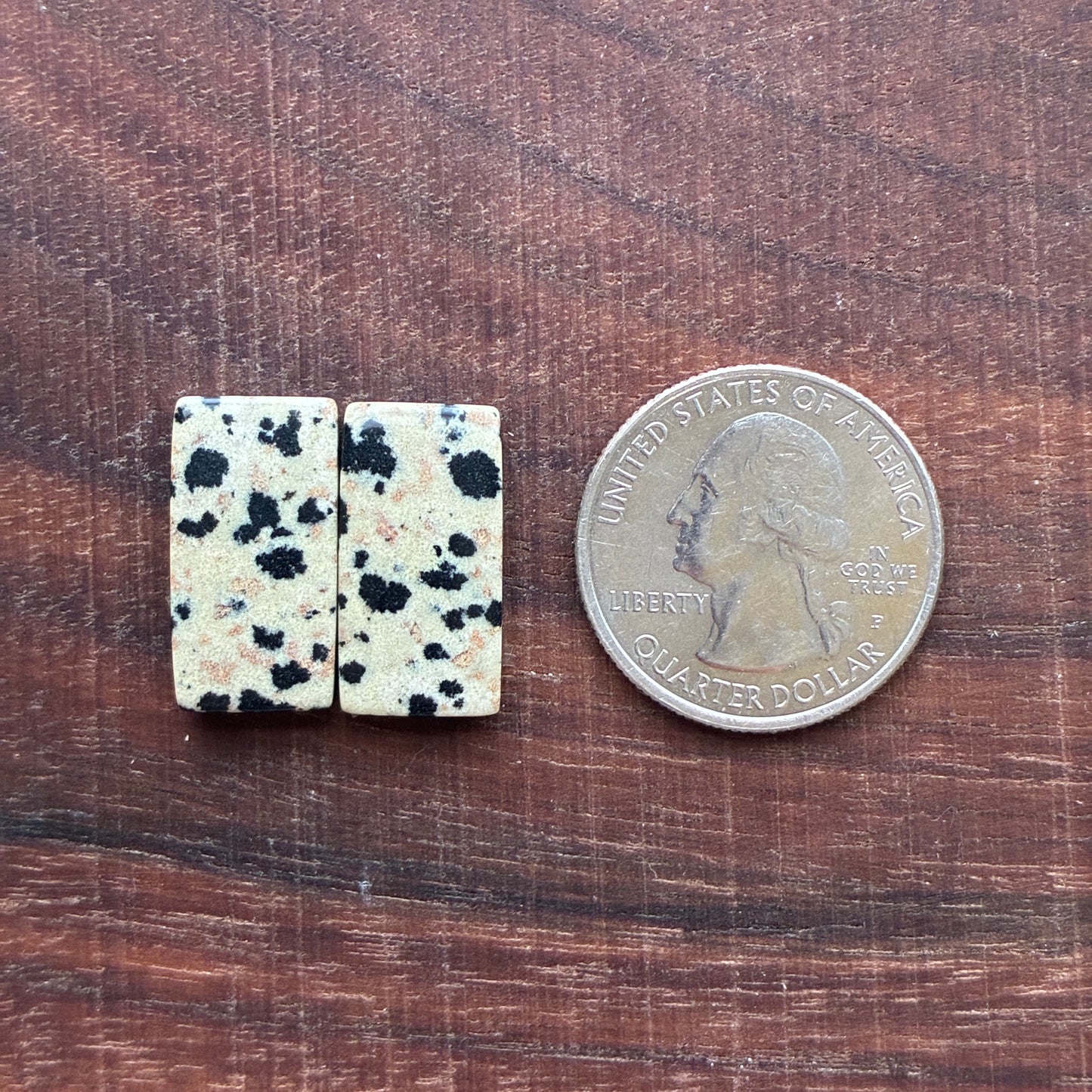 Dalmatian - Cabochon Pair - Oval - Rectangle - Teardrop