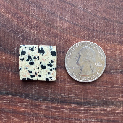 Dalmatian - Cabochon Pair - Oval - Rectangle - Teardrop