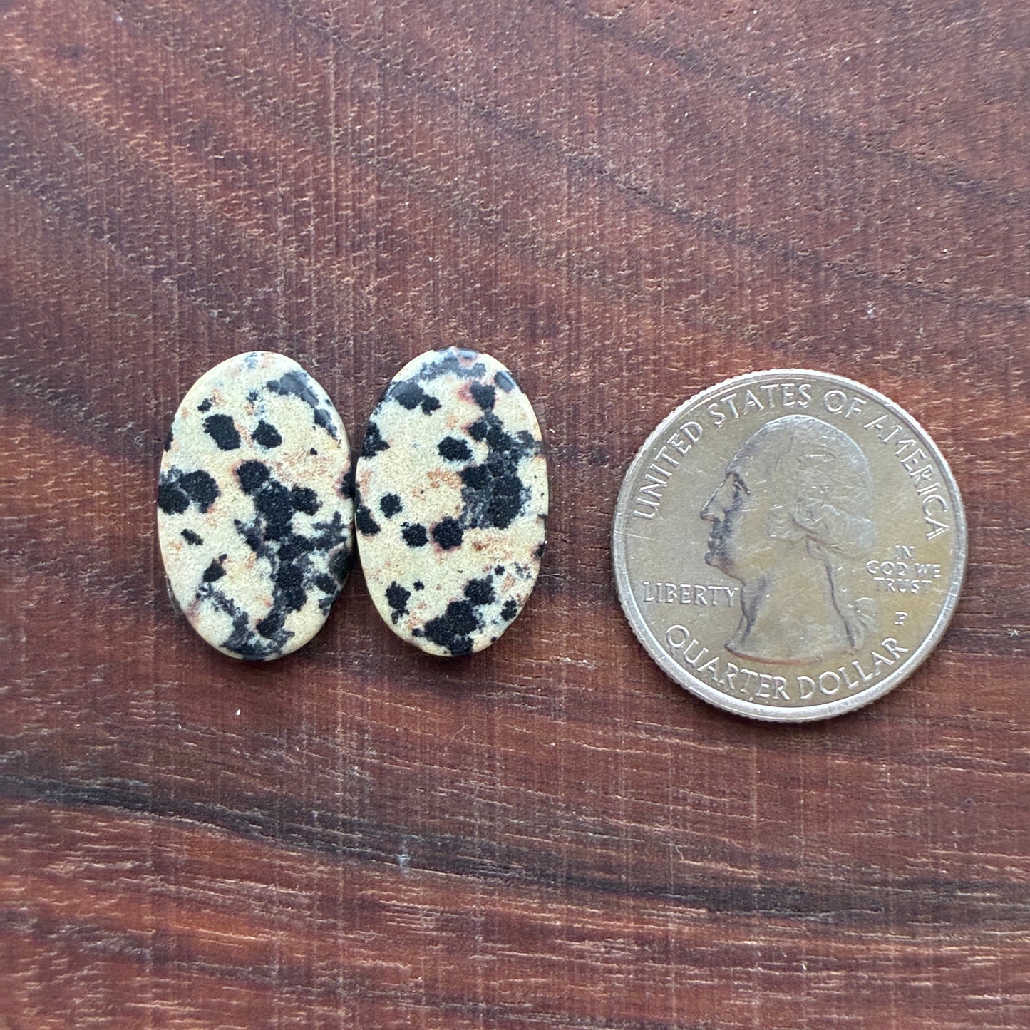 Dalmatian - Cabochon Pair - Oval - Rectangle - Teardrop