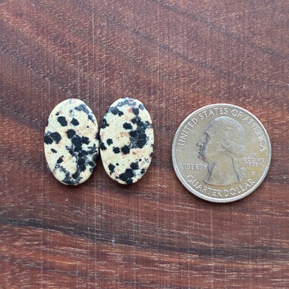 Dalmatian - Cabochon Pair - Oval - Rectangle - Teardrop