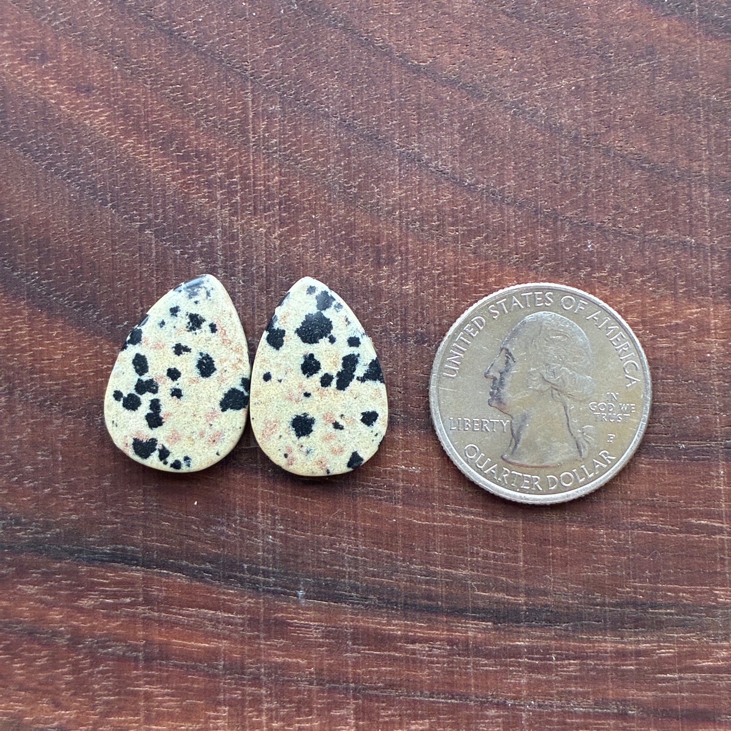 Dalmatian - Cabochon Pair - Oval - Rectangle - Teardrop