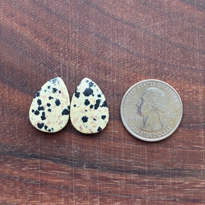 Dalmatian - Cabochon Pair - Oval - Rectangle - Teardrop