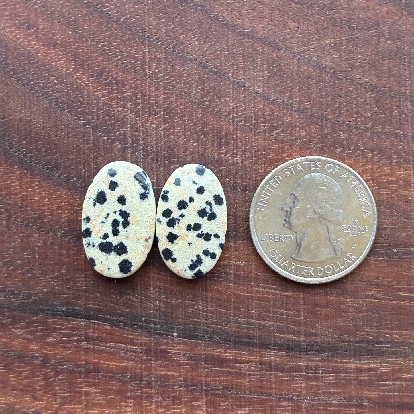 Dalmatian - Cabochon Pair - Oval - Rectangle - Teardrop