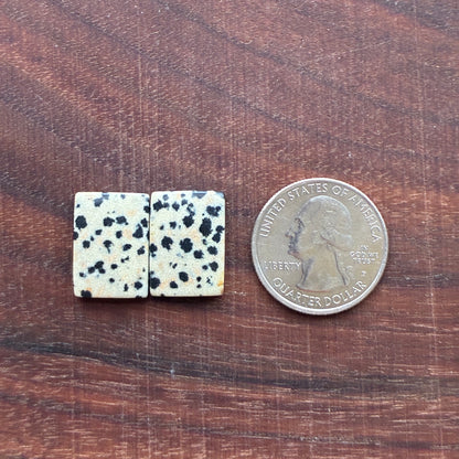 Dalmatian - Cabochon Pair - Oval - Rectangle - Teardrop