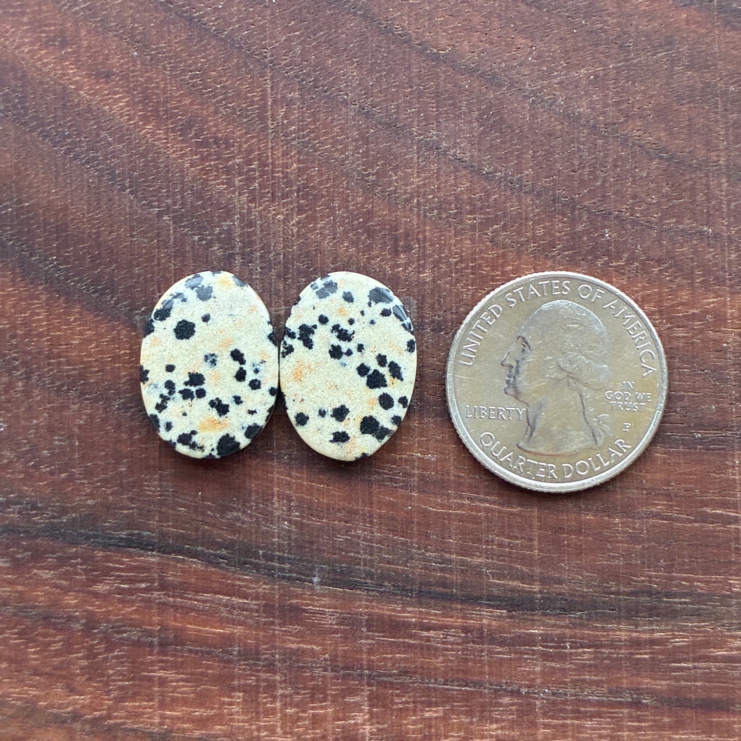 Dalmatian - Cabochon Pair - Oval - Rectangle - Teardrop