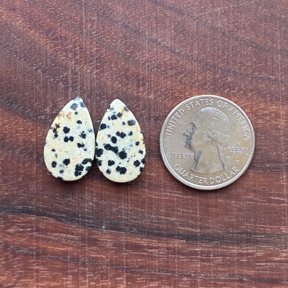 Dalmatian - Cabochon Pair - Oval - Rectangle - Teardrop