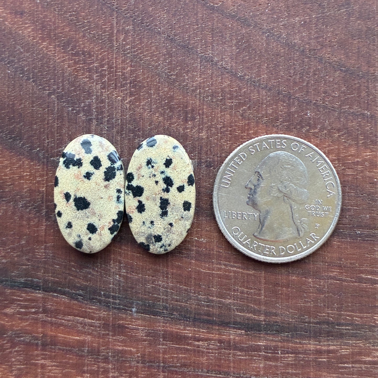 Dalmatian - Cabochon Pair - Oval - Rectangle - Teardrop
