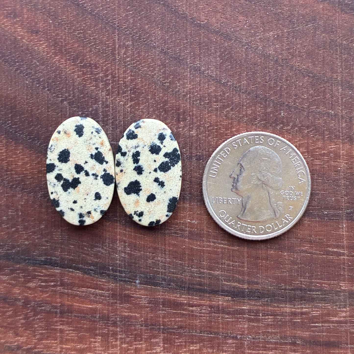 Dalmatian - Cabochon Pair - Oval - Rectangle - Teardrop