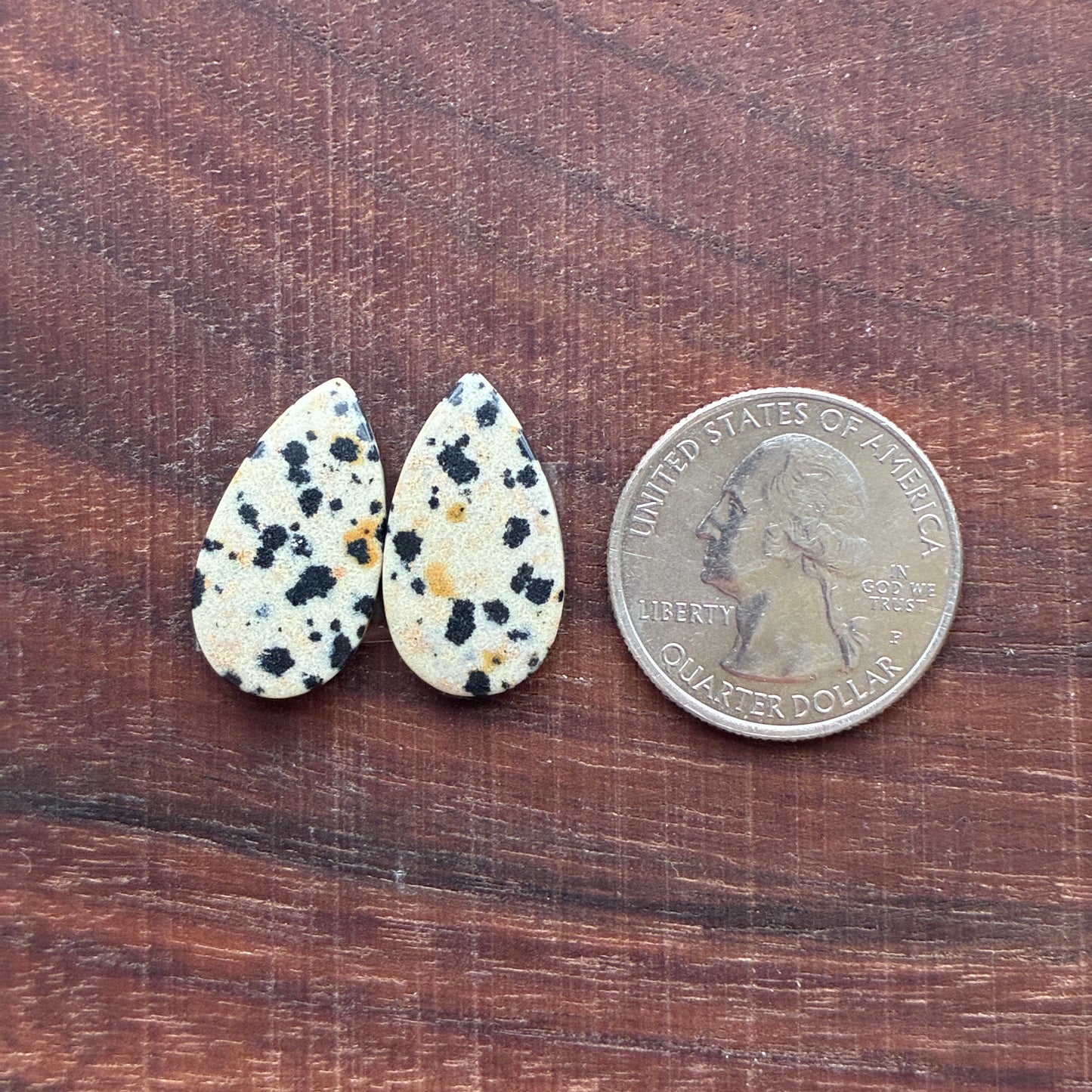 Dalmatian - Cabochon Pair - Oval - Rectangle - Teardrop