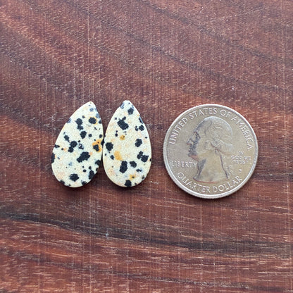 Dalmatian - Cabochon Pair - Oval - Rectangle - Teardrop