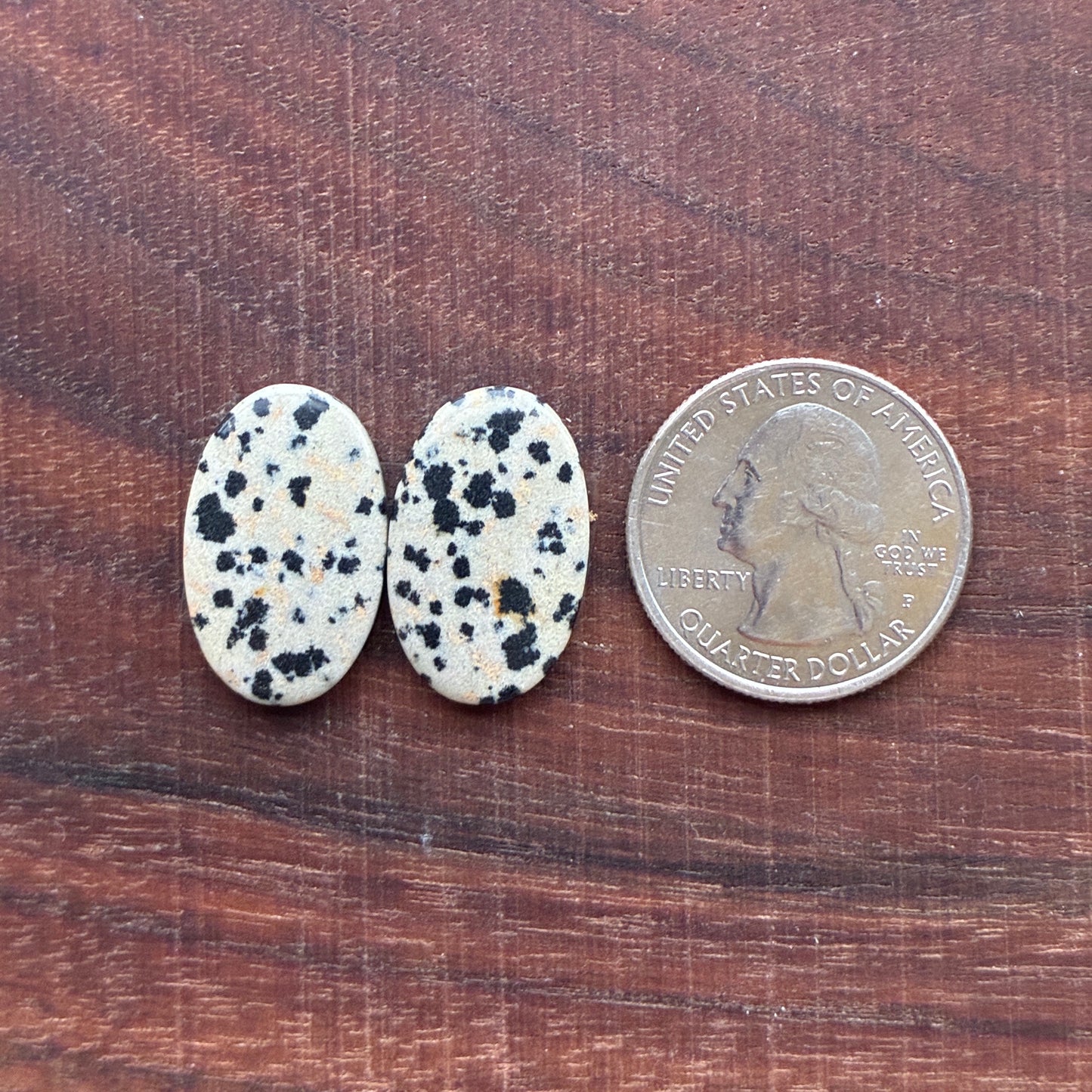 Dalmatian - Cabochon Pair - Oval - Rectangle - Teardrop