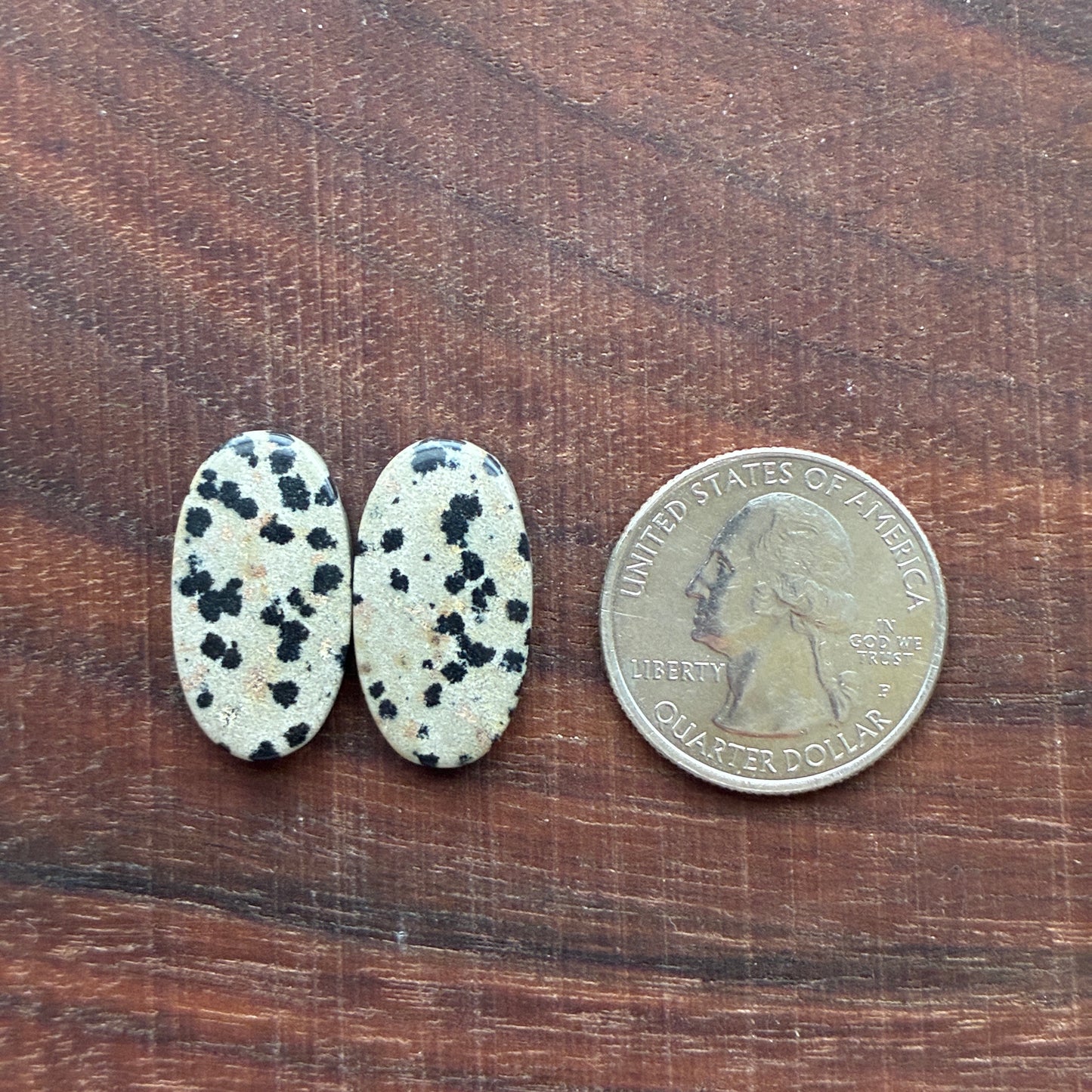 Dalmatian - Cabochon Pair - Oval - Rectangle - Teardrop