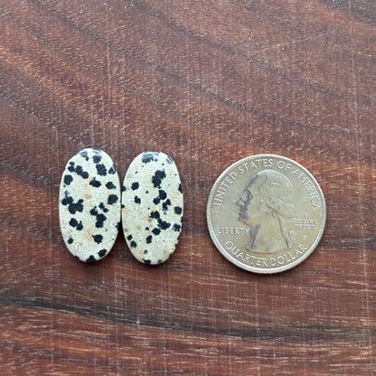 Dalmatian - Cabochon Pair - Oval - Rectangle - Teardrop