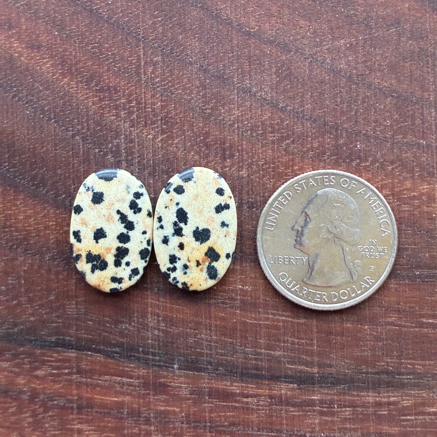 Dalmatian - Cabochon Pair - Oval - Rectangle - Teardrop