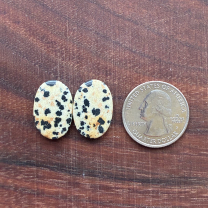 Dalmatian - Cabochon Pair - Oval - Rectangle - Teardrop