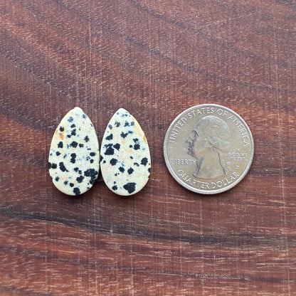 Dalmatian - Cabochon Pair - Oval - Rectangle - Teardrop