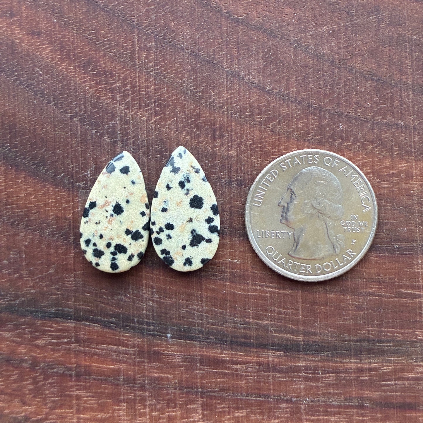 Dalmatian - Cabochon Pair - Oval - Rectangle - Teardrop